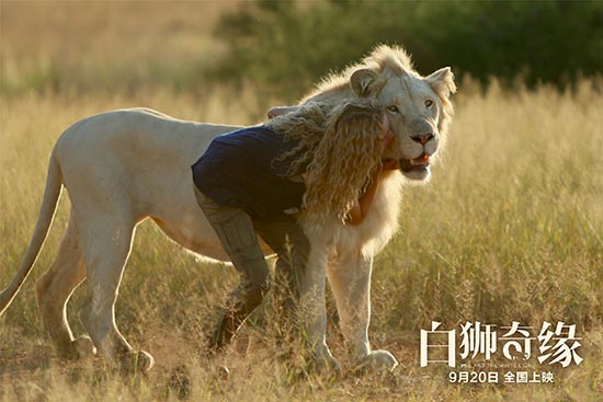 白狮奇缘怎么拍的