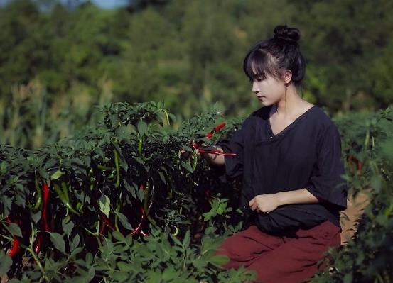 李子柒的爸爸去哪里了