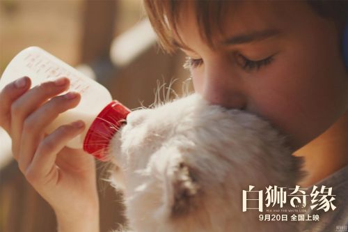 米娅和白狮中的白狮是真的吗