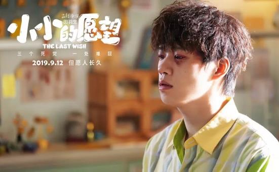 小小的愿望最后结局如何