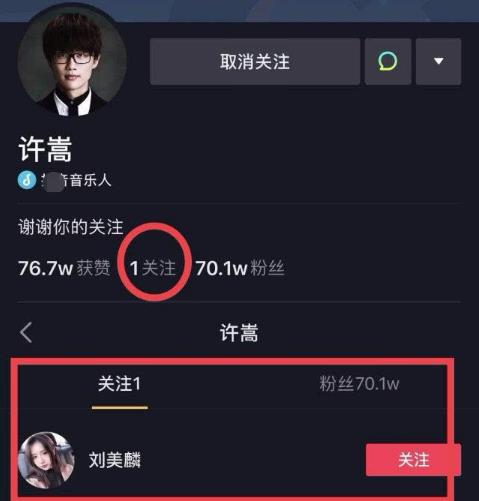 刘美麟和许嵩什么关系