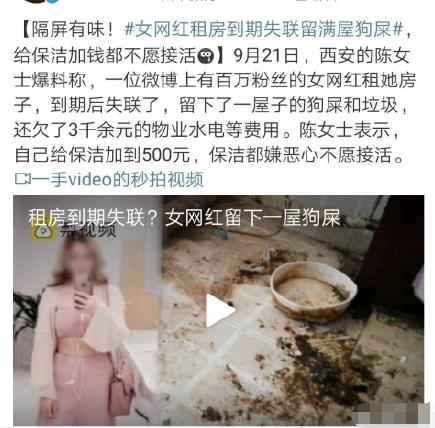 百万粉丝女网红租房期满失联