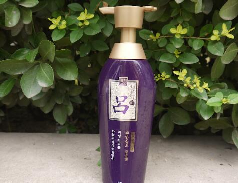 紫吕洗发水功效以及适用人群