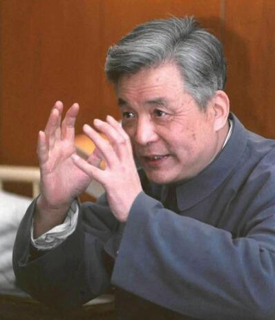 激情的岁月王怀民原型是谁