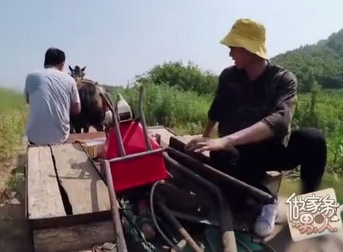 做家务的男人魏大勋回老家是哪期