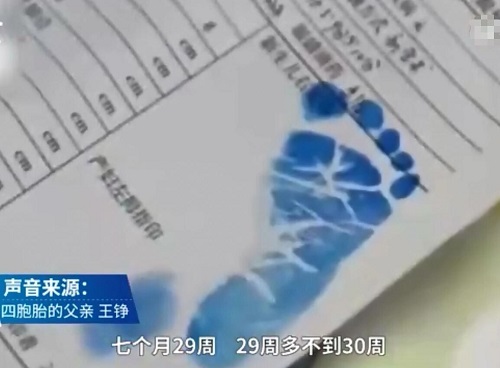 国庆四胞胎名字