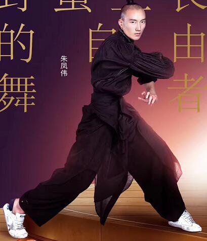 舞蹈风暴朱凤伟背景资料介绍