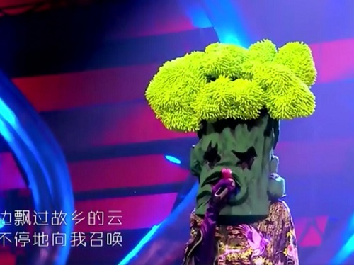 蒙面唱将猜猜猜一起走花路吧是谁