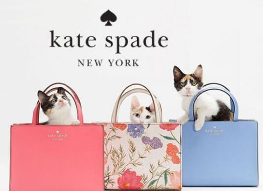 katespade适合什么人