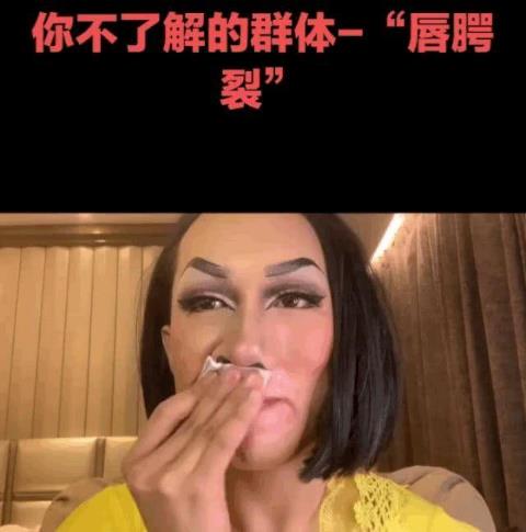 王菲韩美娟将合作