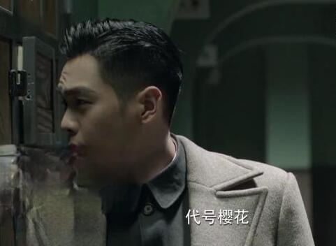 谍战深海之惊蛰樱花是谁