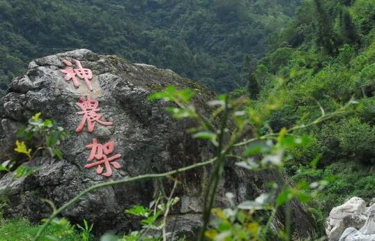 神农架野人目击事件