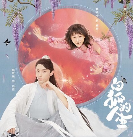 白狐的人生南娇身份是什么妖