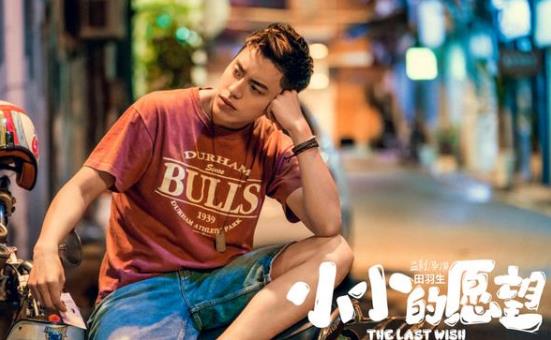 小小的愿望高远的愿望实现了吗