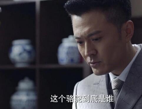谍战深海之惊蛰骆驼是谁