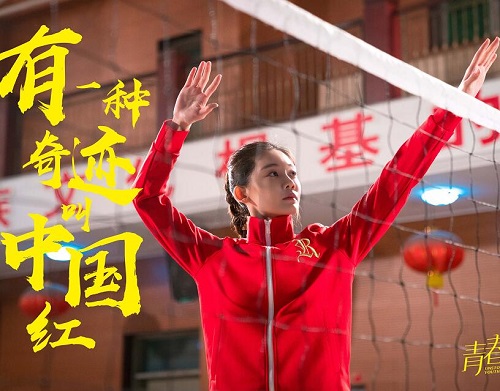 青春抛物线是小说改编的吗