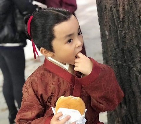 鹤唳华亭为什么叫阿琛