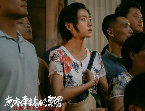 南方车站的聚会是什么类型电影