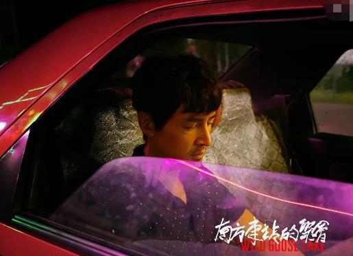 南方车站的聚会是什么类型电影