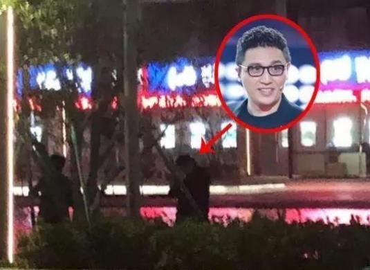 华少为什么离开浙江卫视