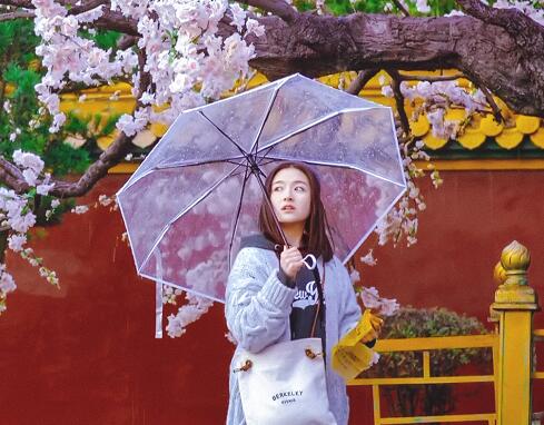 梦回茗薇原型是谁