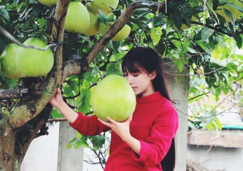 李子柒为什么会那么多东西