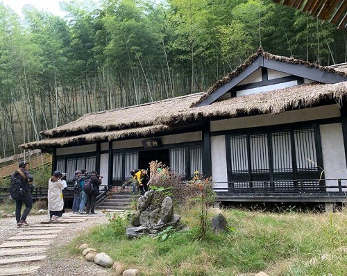 野生厨房在陈情令取景地拍摄是哪期