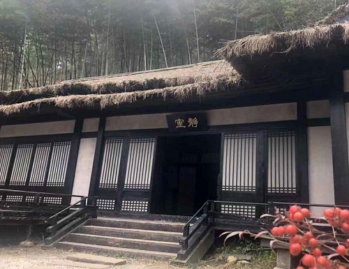 野生厨房在陈情令取景地拍摄是哪期