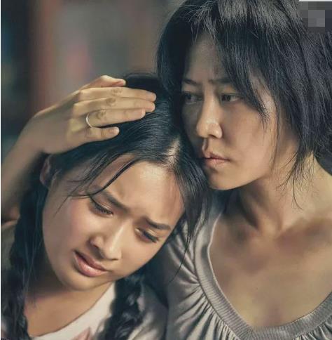 许文珊是陈冲领养的吗