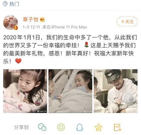 姚晨评论章子怡