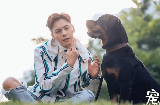 电影宠爱最后的彩蛋是什么