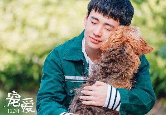 宠爱里的巴顿是什么品种