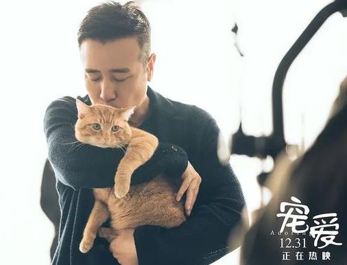 宠爱呼噜是漫威噬元兽吗