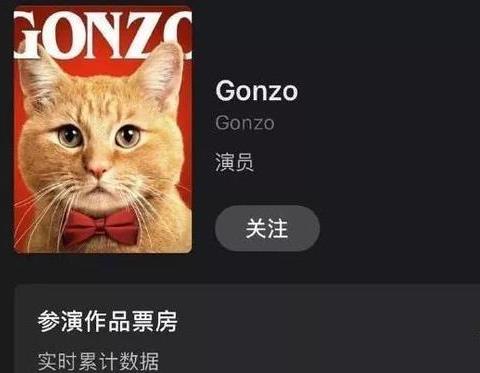 宠爱呼噜是漫威噬元兽吗