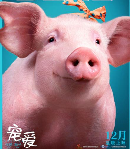 宠爱里面的猪叫什么名字