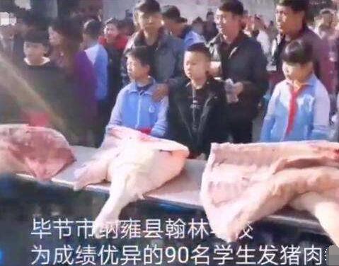 学校给学生发猪肉