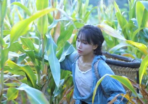 李子柒会上春晚吗