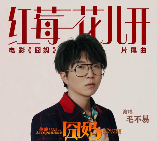 囧妈红莓花儿开歌词是什么意思
