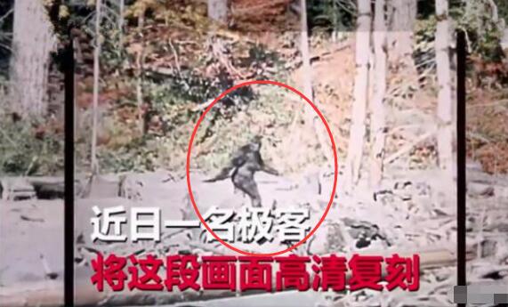 大脚野人真的存在吗