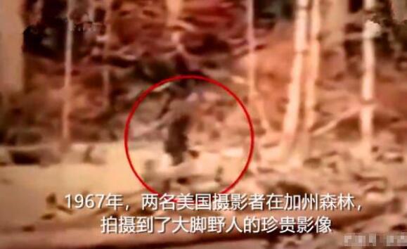 大脚野人真的存在吗