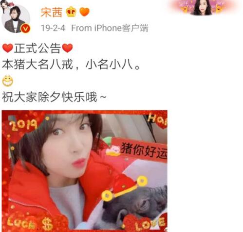 宋茜的猪什么时候养的