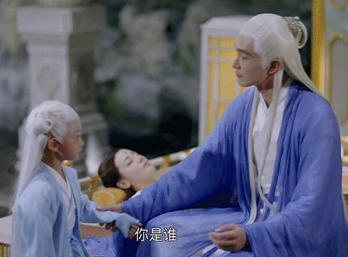 白凤九和帝君什么时候有的孩子
