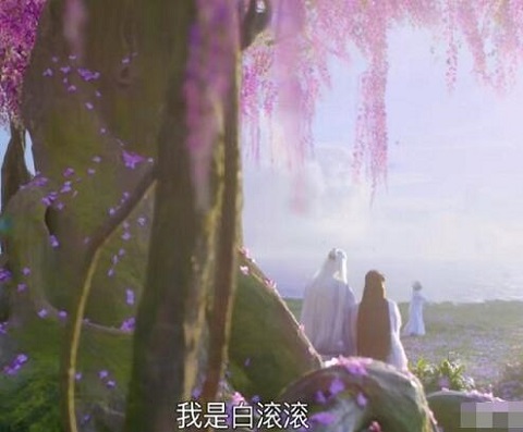 白凤九和帝君什么时候有的孩子