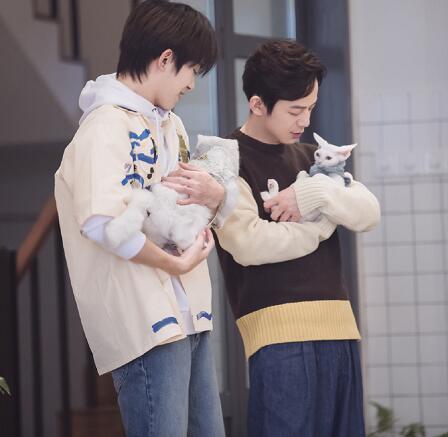 朋友请听好里面的猫是什么品种