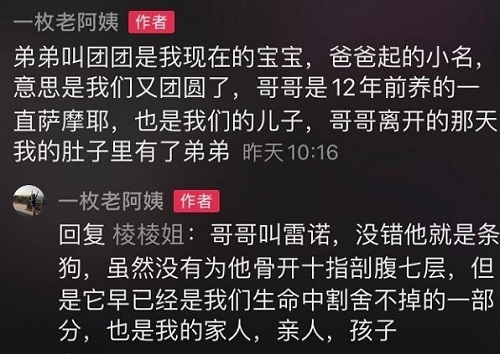 宝宝和去世狗狗同样胎记