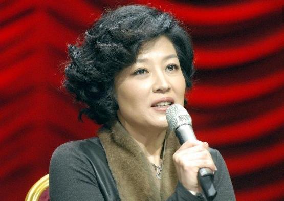 哈文为什么退出央视