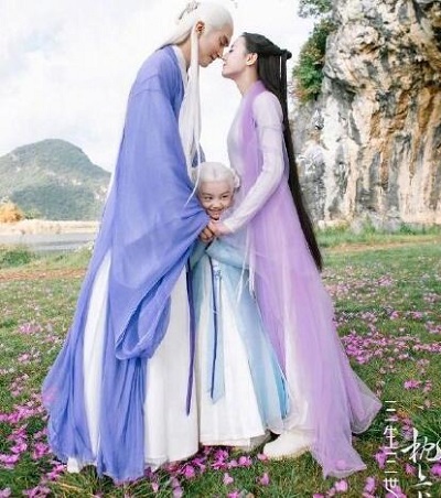 白滚滚是狐狸还是石头