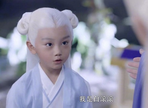 白滚滚是狐狸还是石头