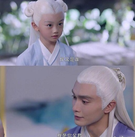白滚滚是狐狸还是石头