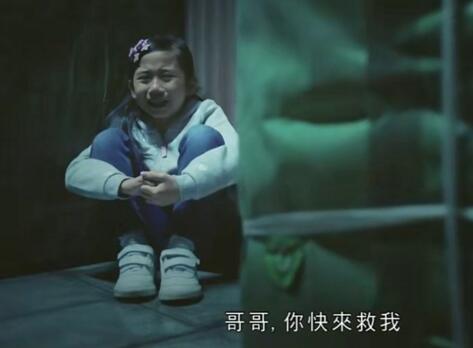 法证先锋4高安大妹高善是谁